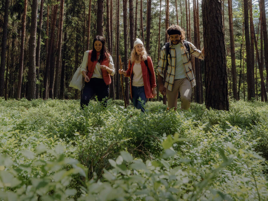 Jack wolfskin man discount
