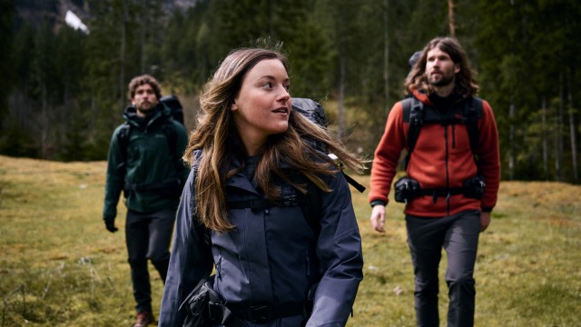 Vier Wanderer laufen durch einen Wald